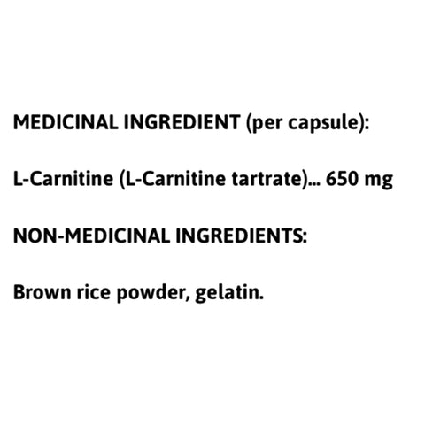 is it safe to take l carnitine and creatine together can we take l carnitine and creatine together is it safe to take l carnitine and creatine together can we take l carnitine and creatine together