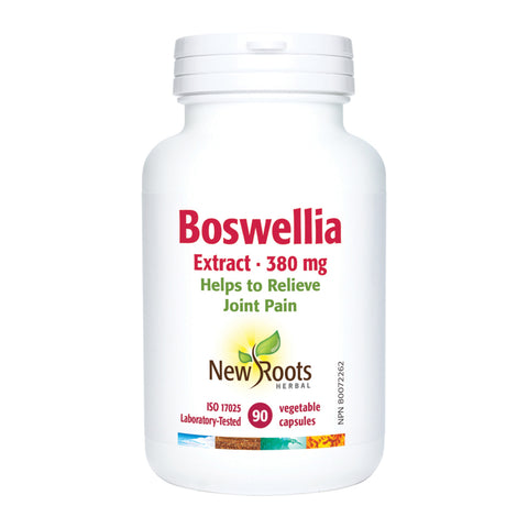 Boswellia Extract (90 Caps)